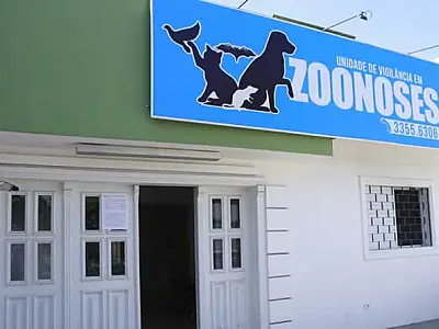 Guarujá aplicou a vacina antirrábica em 650 cães e gatos em 2025