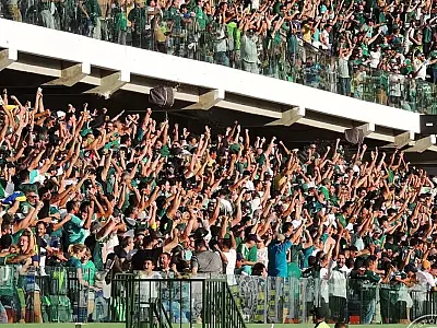 Justiça de São Paulo quer ampliar torcida única