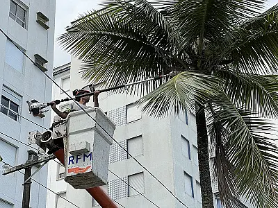 Guarujá intensifica processo de poda  de árvores na pré-temporada de verão