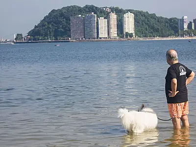 Parque Pet transformará Praia do Itararé em espaço de lazer e bem-estar animal