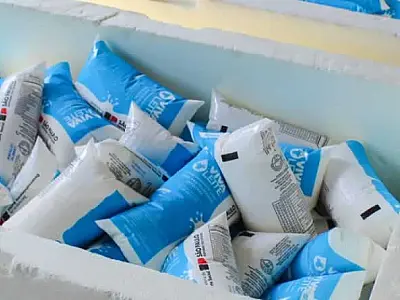 Vivaleite atende 130 crianças em Mongaguá