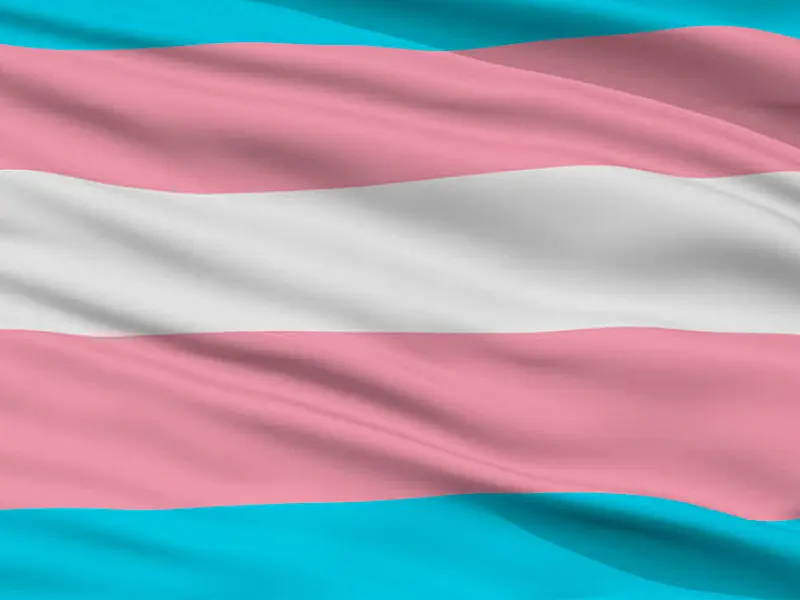 Guarujá realiza 1º Seminário Trans-formar em comemoração ao Dia da Visibilidade Trans