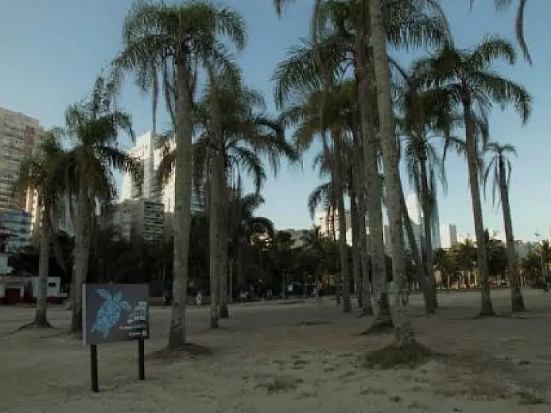 Placas na Praia do José Menino orientam sobre o risco do lixo na areia