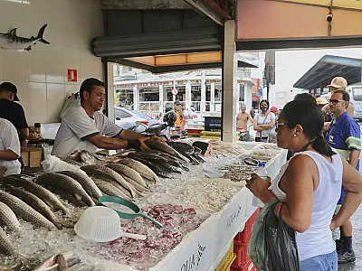 Prefeitura do Guarujá fiscaliza comércio de pescados para Semana Santa