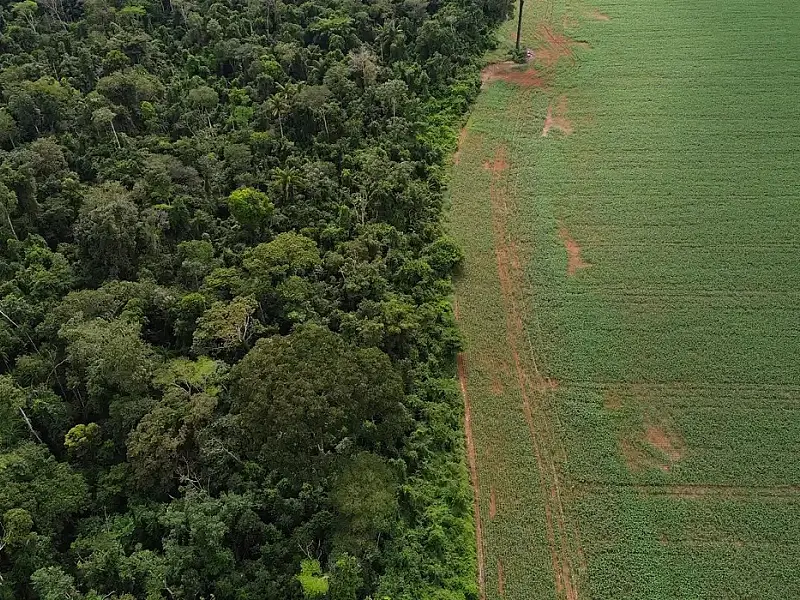 Brasil apresenta soluções de financiamento climático em Nova York