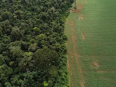 Brasil apresenta soluções de financiamento climático em Nova York