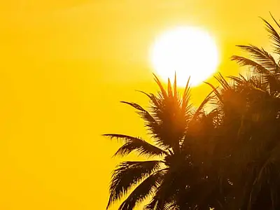 Calor intenso amplia riscos respiratórios e reforça alerta para a umidade do ar