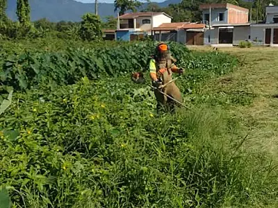 Prefeitura de Bertioga realiza mutirão de limpeza em Boraceia
