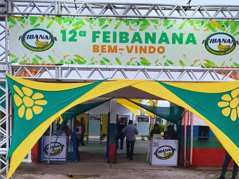 Sebrae-SP promove inovação e fortalece a cultura regional durante a Feibanana 2025