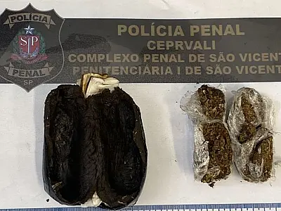 Polícia Penal de Praia Grande e São Vicente impede entrada de droga no cárcere