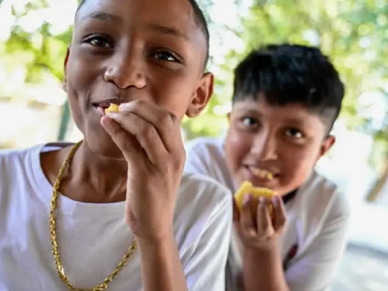 SP distribui 3,5 milhões de espigas e escolas devem preparar receitas típicas de festa junina