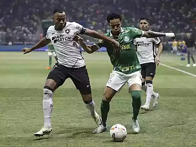 Botafogo segura empate com Palmeiras e avança na Copa Libertadores