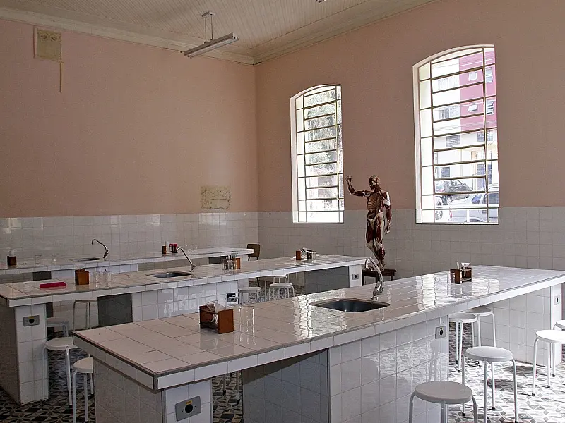 Escolas estaduais de SP têm até 12 de agosto para se inscrever na Olimpíada Nacional de Ciências