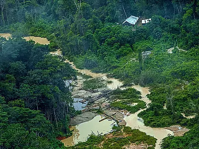 Greenpeace informa registro de 176 escavadeiras em terras Yanomami