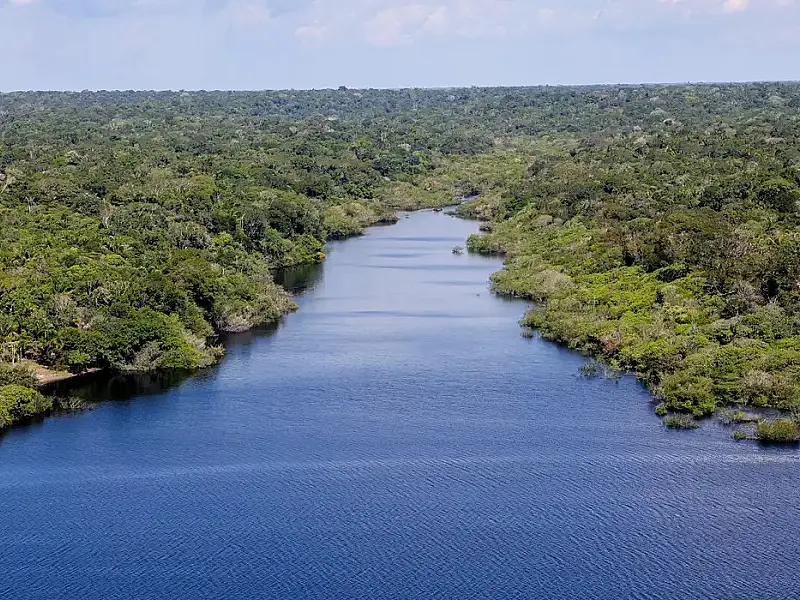 Fundo Amazônia financia reflorestamento em terras indígenas