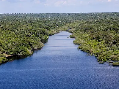 Fundo Amazônia financia reflorestamento em terras indígenas