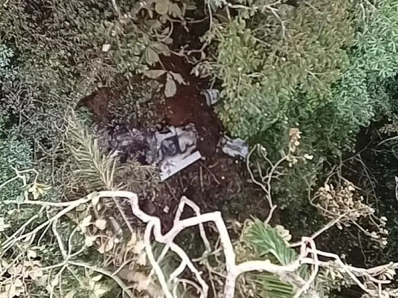 Avião de pequeno porte cai em Santa Catarina e deixa dois mortos