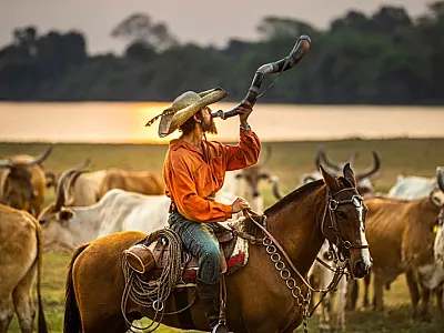 Pantanal traz impacto do original com qualidade de cinema