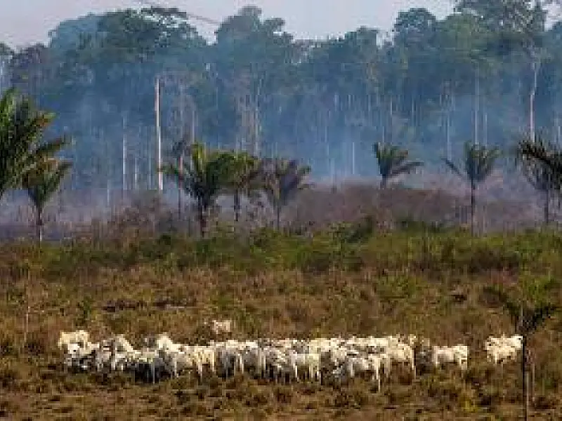 Crise climática aumentou em 100 vezes chance do calorão recente no Brasil