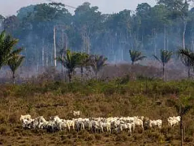 Crise climática aumentou em 100 vezes chance do calorão recente no Brasil
