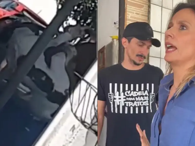 Veja o vídeo: Luisa Mell resgata cachorro jogado em barril cheio d'água em Praia Grande