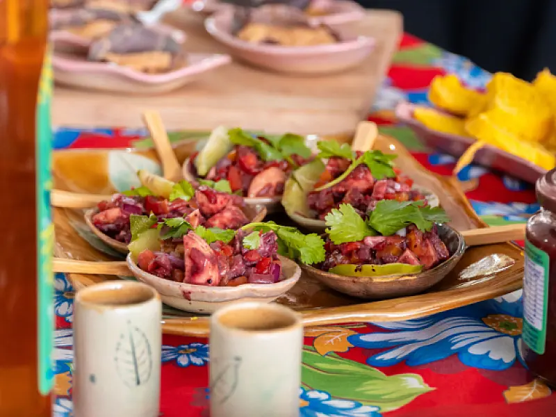Bertioga reúne 15 mil pessoas no XI Festival da Mata Atlântica