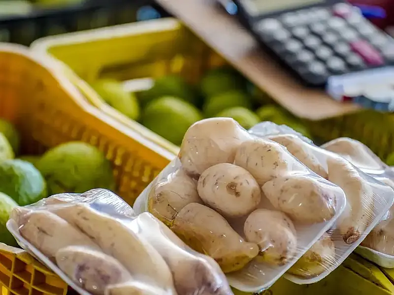 Batata e cebola estão mais baratas, diz Conab