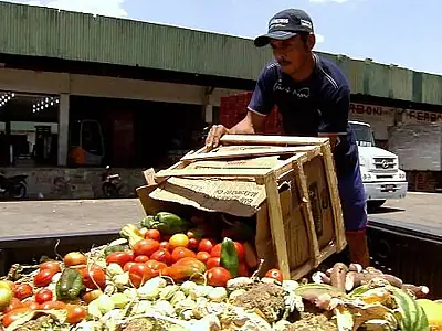 Pesquisa traz dicas sobre como reduzir desperdício de alimentos