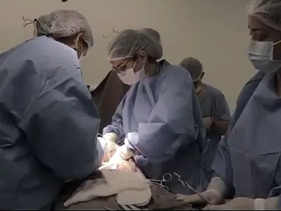 Primeira captação de órgãos do Hospital do Vicentino é realizada na sexta-feira