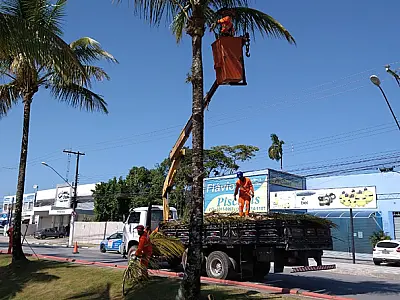 Prefeitura divulga programação do Cata Treco e do Cata Poda