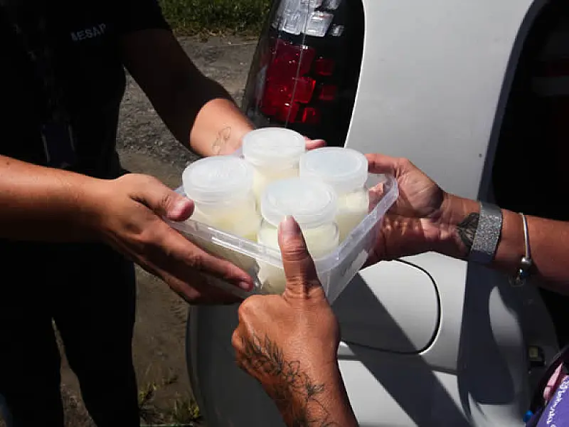 Praia Grande/SP  arrecada potes de vidro para armazenar leite humano que  alimenta bebês internados