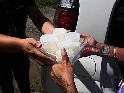 Praia Grande/SP  arrecada potes de vidro para armazenar leite humano que  alimenta bebês internados