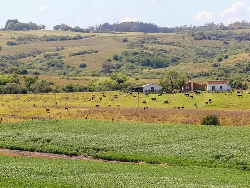 Pampa é o bioma brasileiro menos protegido por unidades de conservação