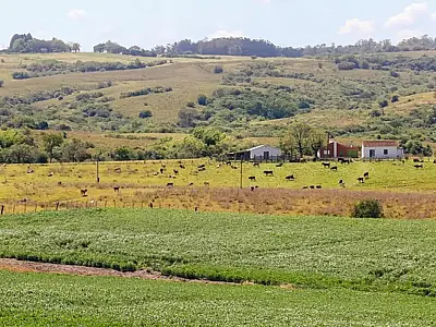 Pampa é o bioma brasileiro menos protegido por unidades de conservação