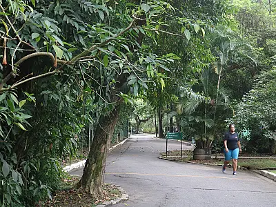 Jardim Botânico e Lagoa da Saudade são opções de lazer além da praia em Santos