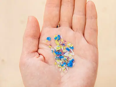 Microplásticos podem diminuir a fertilidade masculina?