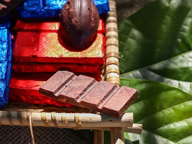 Bioeconomia: o pecado mora no Brasil