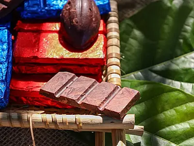 Bioeconomia: o pecado mora no Brasil