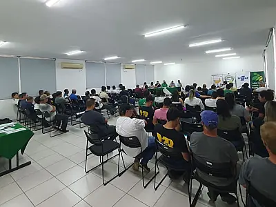 Vale do Ribeira conquista Indicação Geográfica da banana 