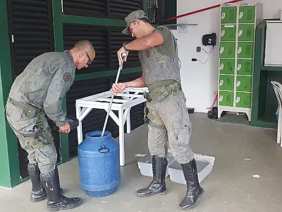 Prefeitura resgata animais silvestres em Bertioga
