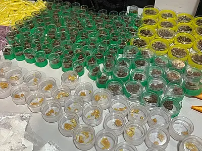 Polícia Civil fecha central de abastecimento de drogas na Baixada Santista