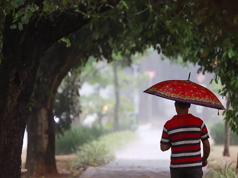 Frio e chuva persistem até sexta e calor retorna no fim de semana em SP