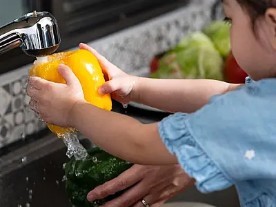 Segurança dos alimentos: saiba como cuidar das refeições e prevenir de doenças
