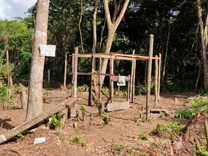 Guarda Ambiental flagra trio desmatando área de proteção ambiental em Praia Grande