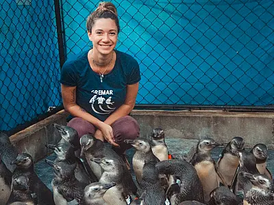 Balanço do 1º trimestre: 10 animais marinhos de volta à natureza!