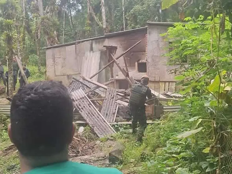Força-tarefa remove construções irregulares em área de preservação ambiental em Santos