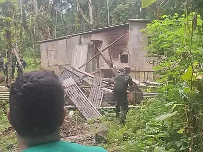 Força-tarefa remove construções irregulares em área de preservação ambiental em Santos
