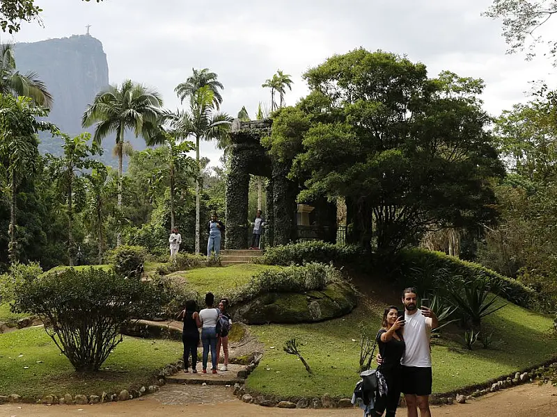 Painel Conserva Flora facilita acesso à flora ameaçada de extinção