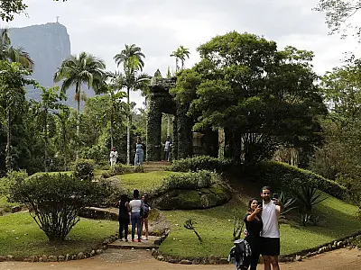 Painel Conserva Flora facilita acesso à flora ameaçada de extinção
