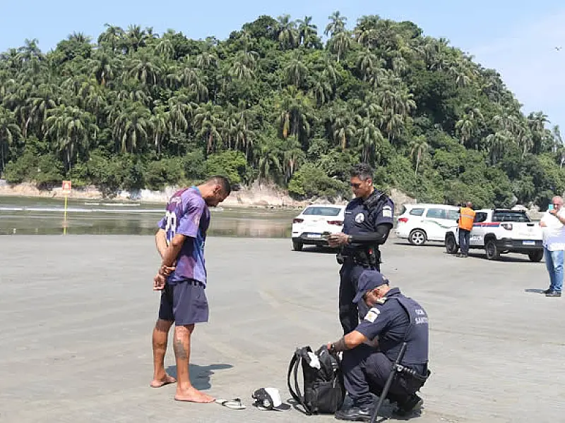 Força-tarefa volta à Ilha Urubuqueçaba, em Santos, para combater crimes ambientais